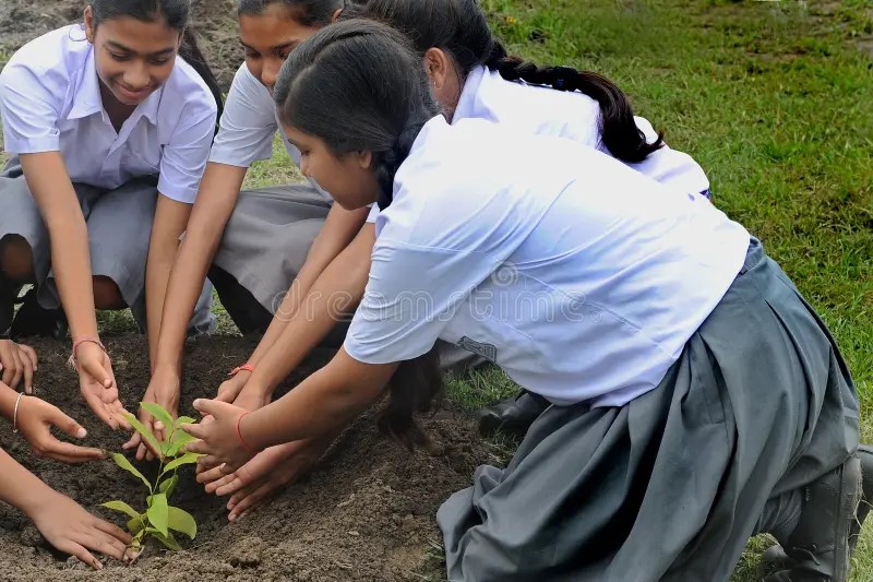 Environmental awareness day